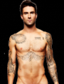 /album/fotos-png-1/adam-levine-png-6-png/